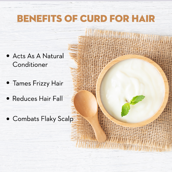 Details 84+ Uses Of Curd For Hair Latest - In.eteachers